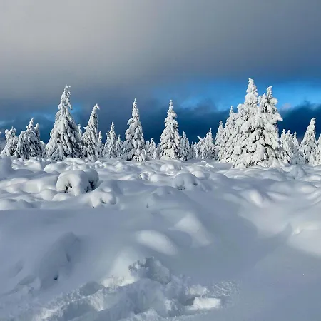 Savoy Exclusive Mountain Špindlerŭv Mlýn
