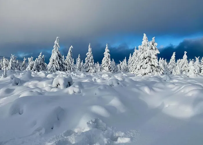 Savoy Exclusive Mountain Spindleruv Mlyn