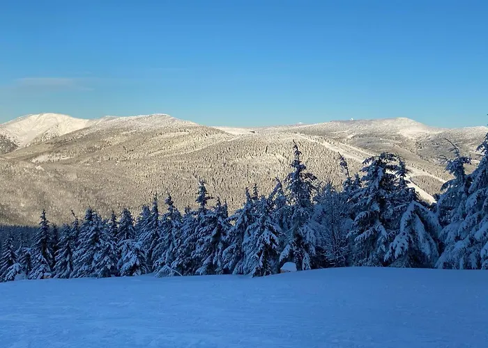 Savoy Exclusive Mountain *